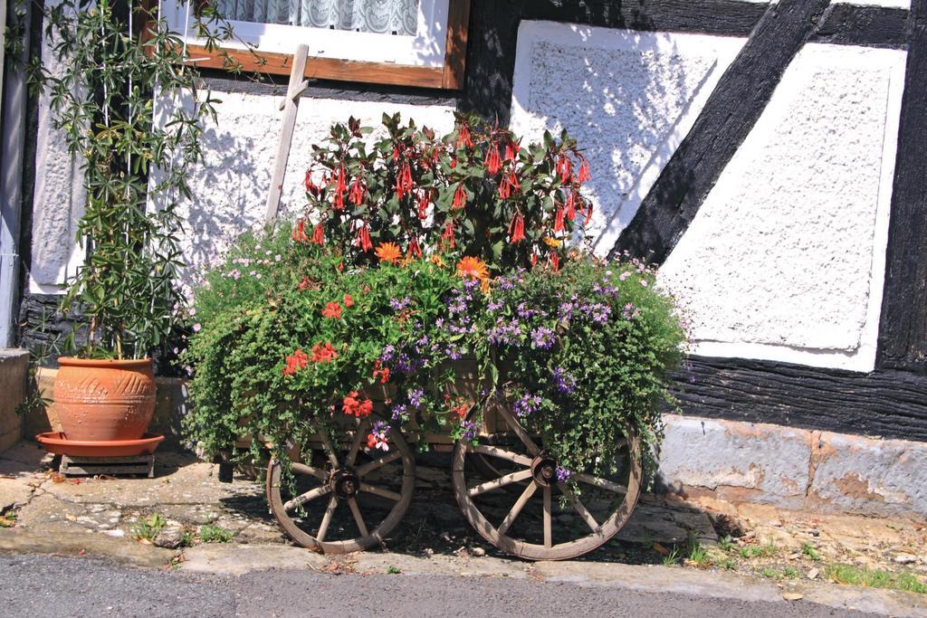 Hotel Landgasthaus Zur Eiche Elbe Exterior foto